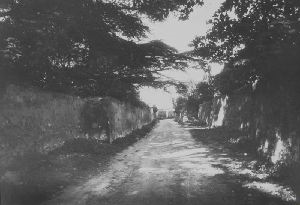 Country Road (Chemin Des Pierrettes)