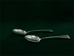 Fiddleback Spoon
