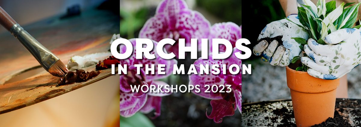 2022 06 27 Website Banner Orchids in teh Mansion Workshops 1920w 1200x425 1