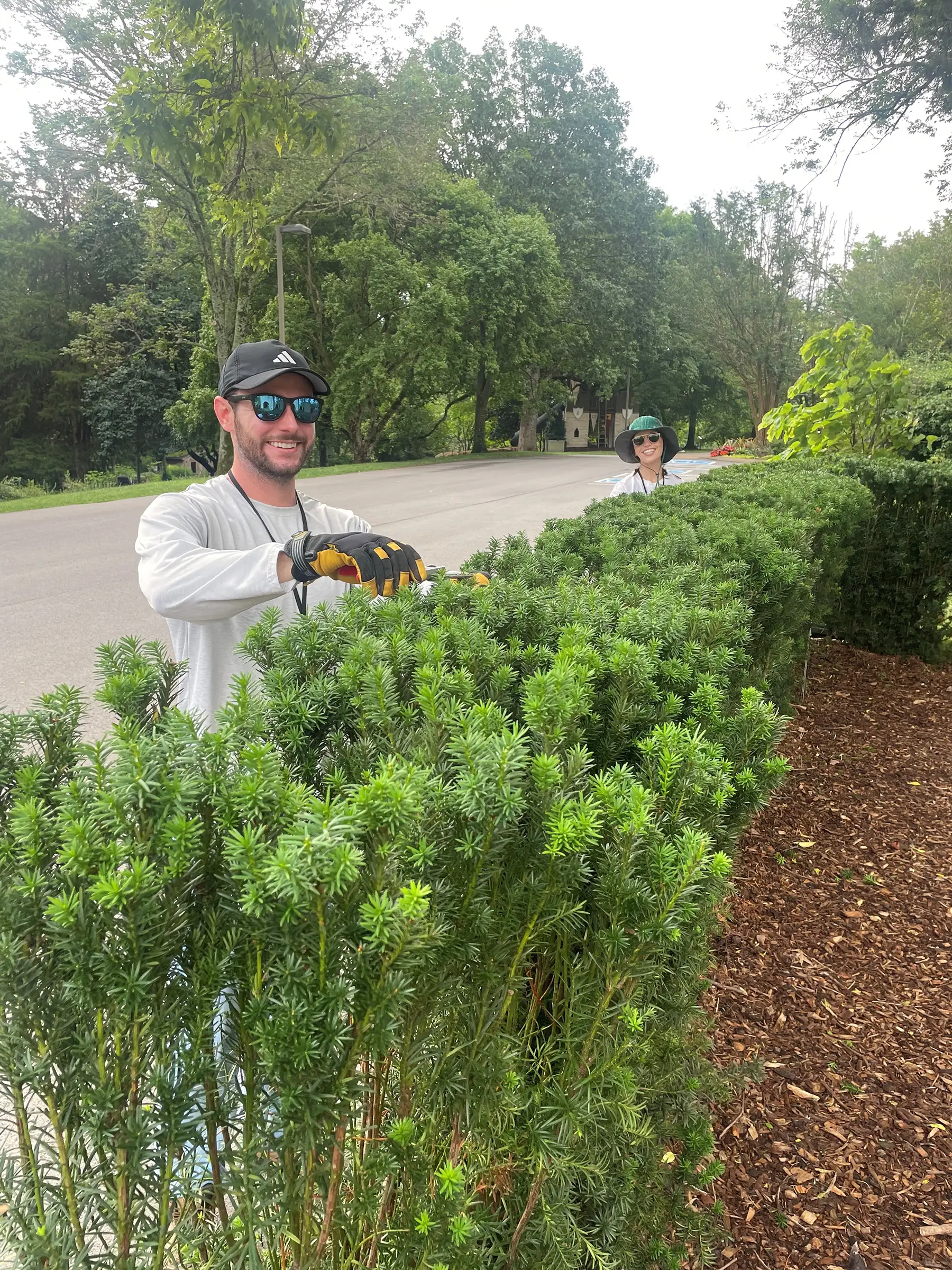 Andrew D and Liz pruning