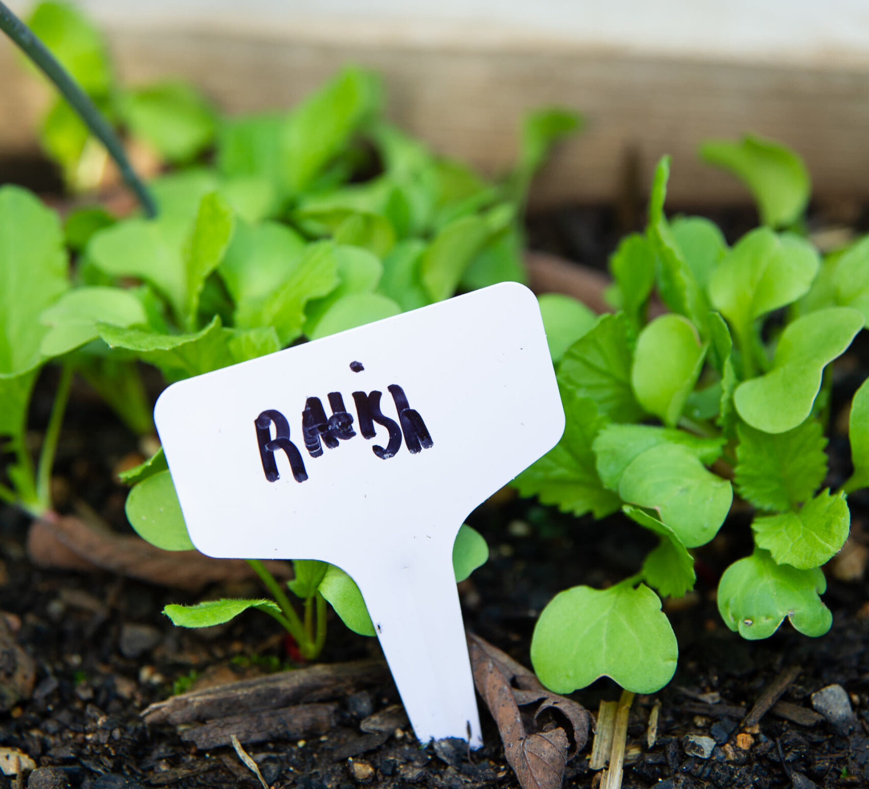 Another option for at home garden checklis