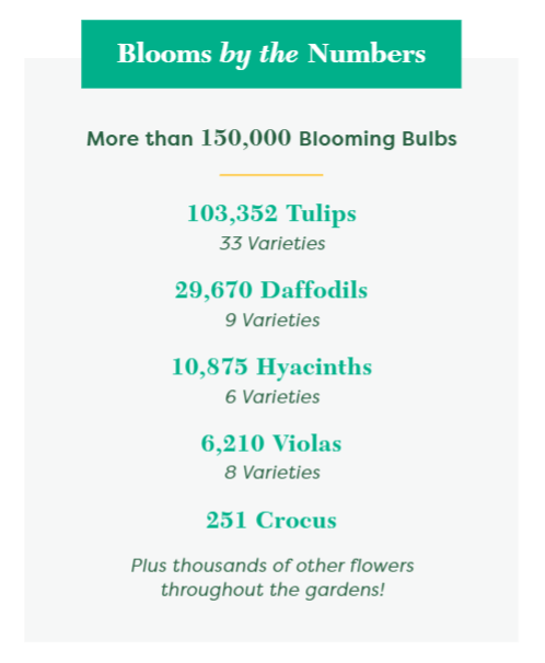 Blooms-by-the-Numbers-2021