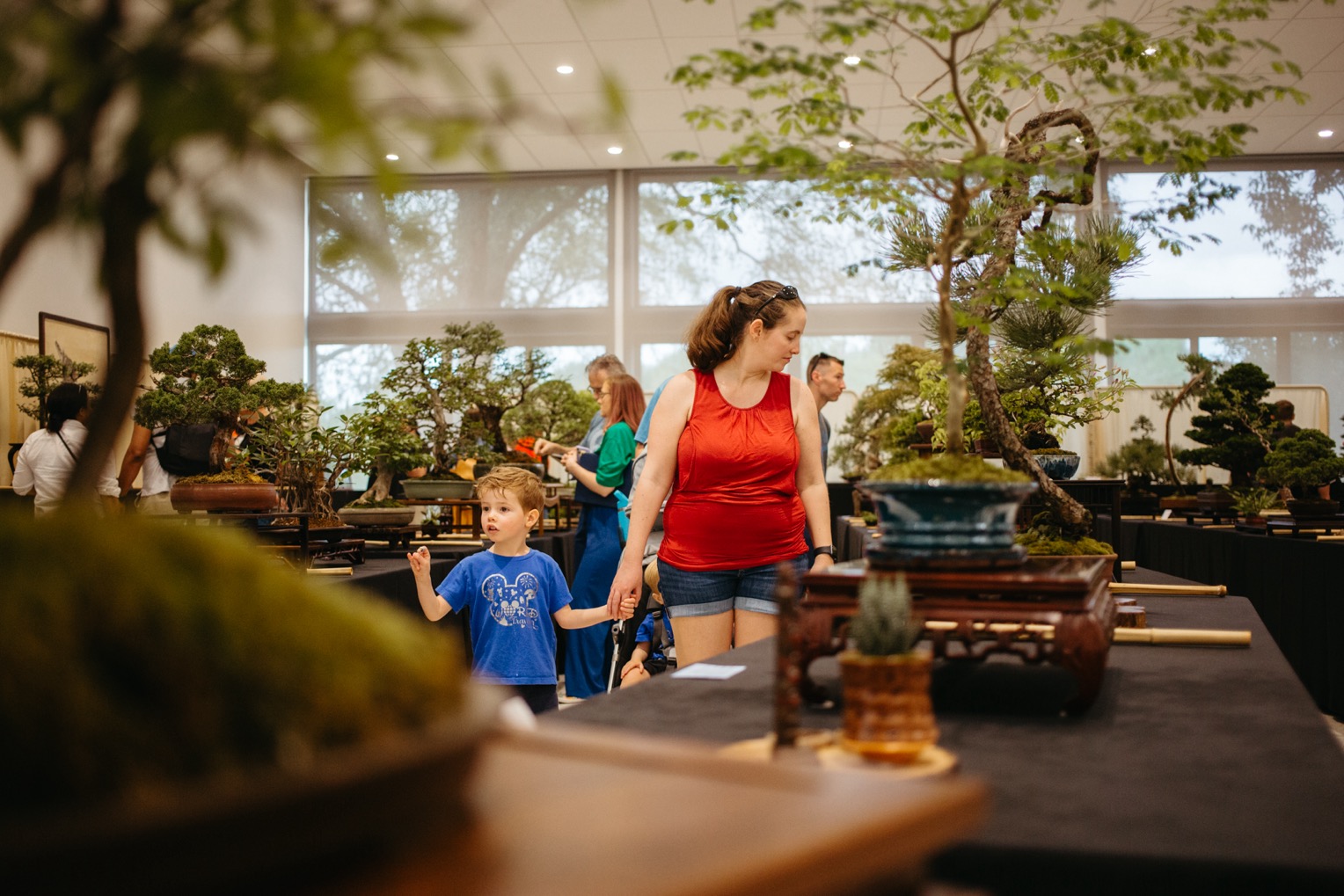 Bonsai Show Crowd 2