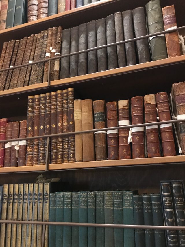 Bookshelves-in-the-Cheek-Library