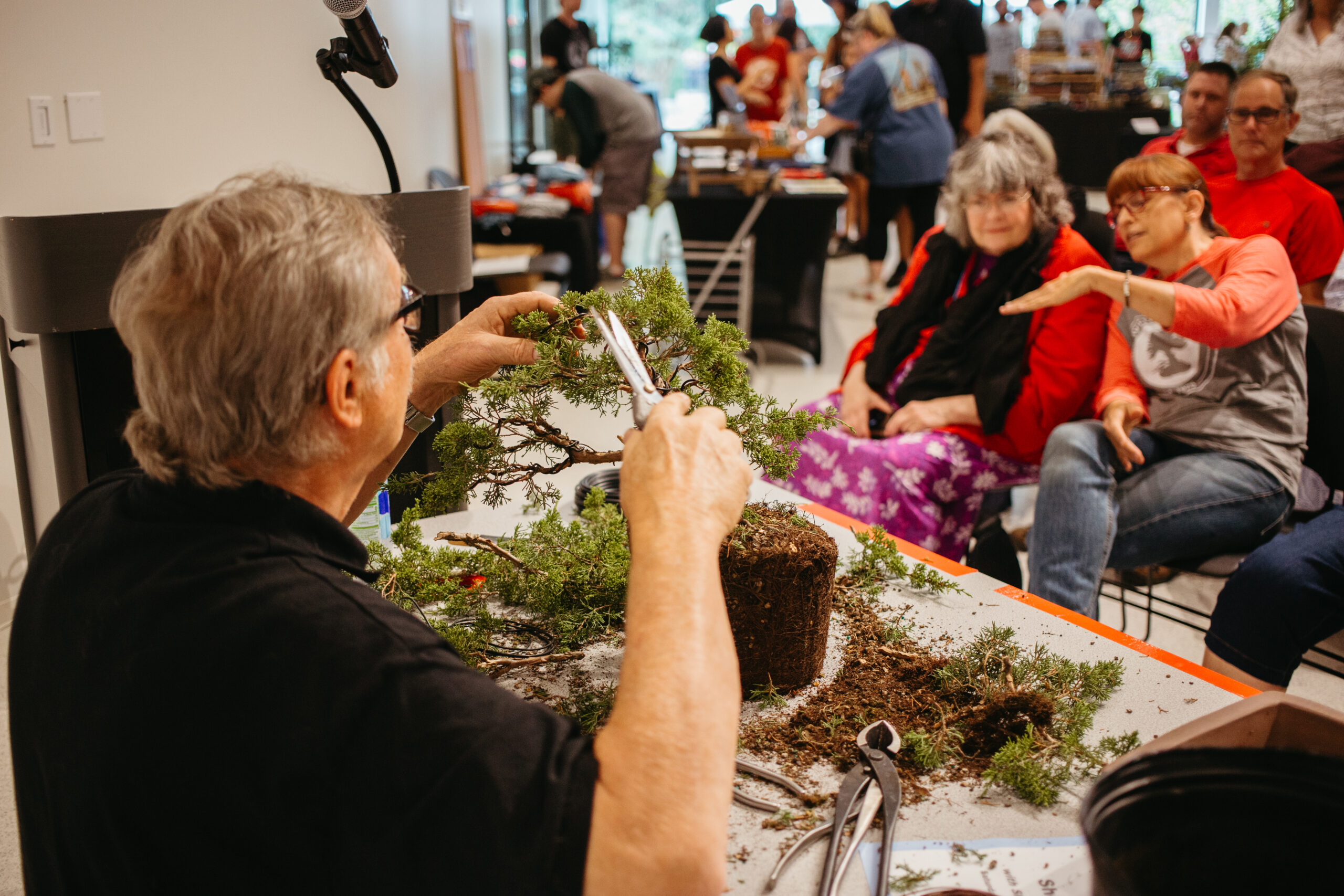 Brussel Martin Bonsai Demo 1