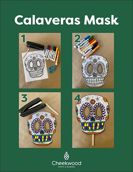 Calaveras-Mask