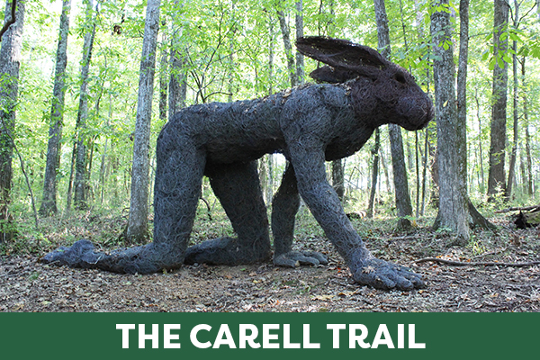 Carell Trail V2