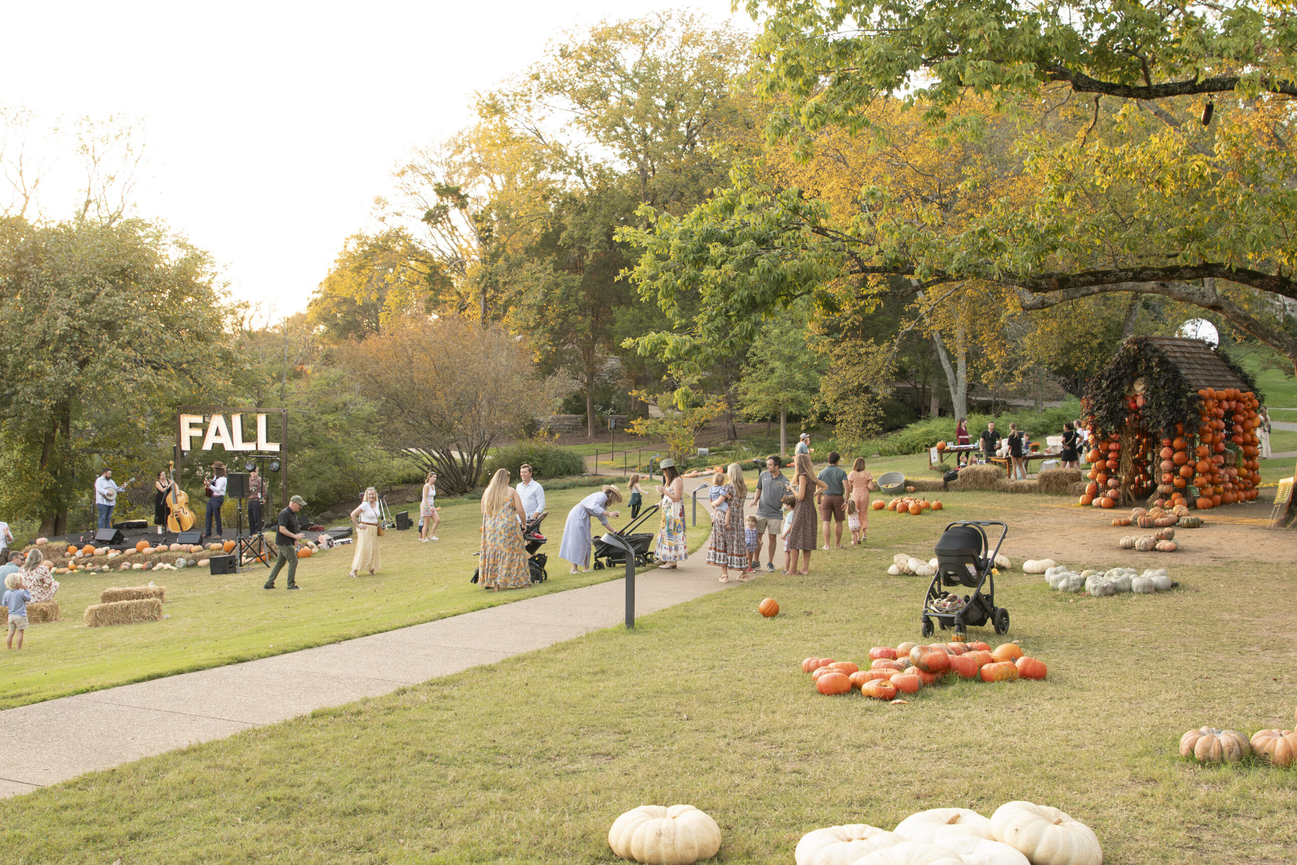 2026 Fall for Cheekwood_Website Banner