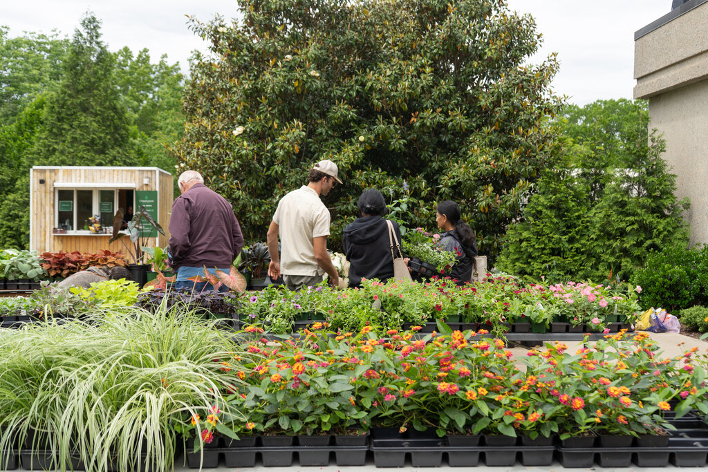 _DSC8696-Enhanced-NR-2