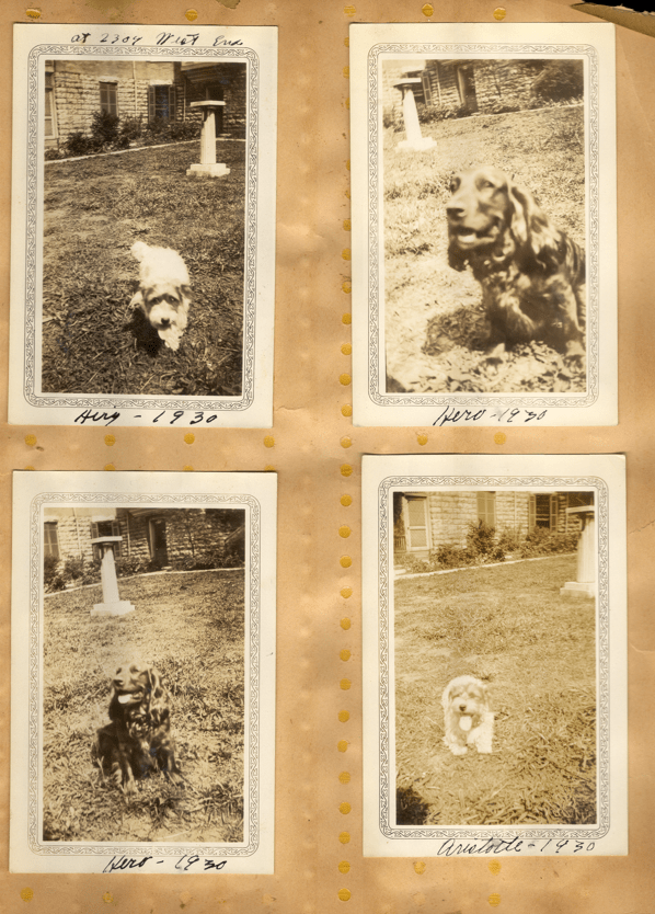 Scrapbook page with photos of the Cheek's dogs