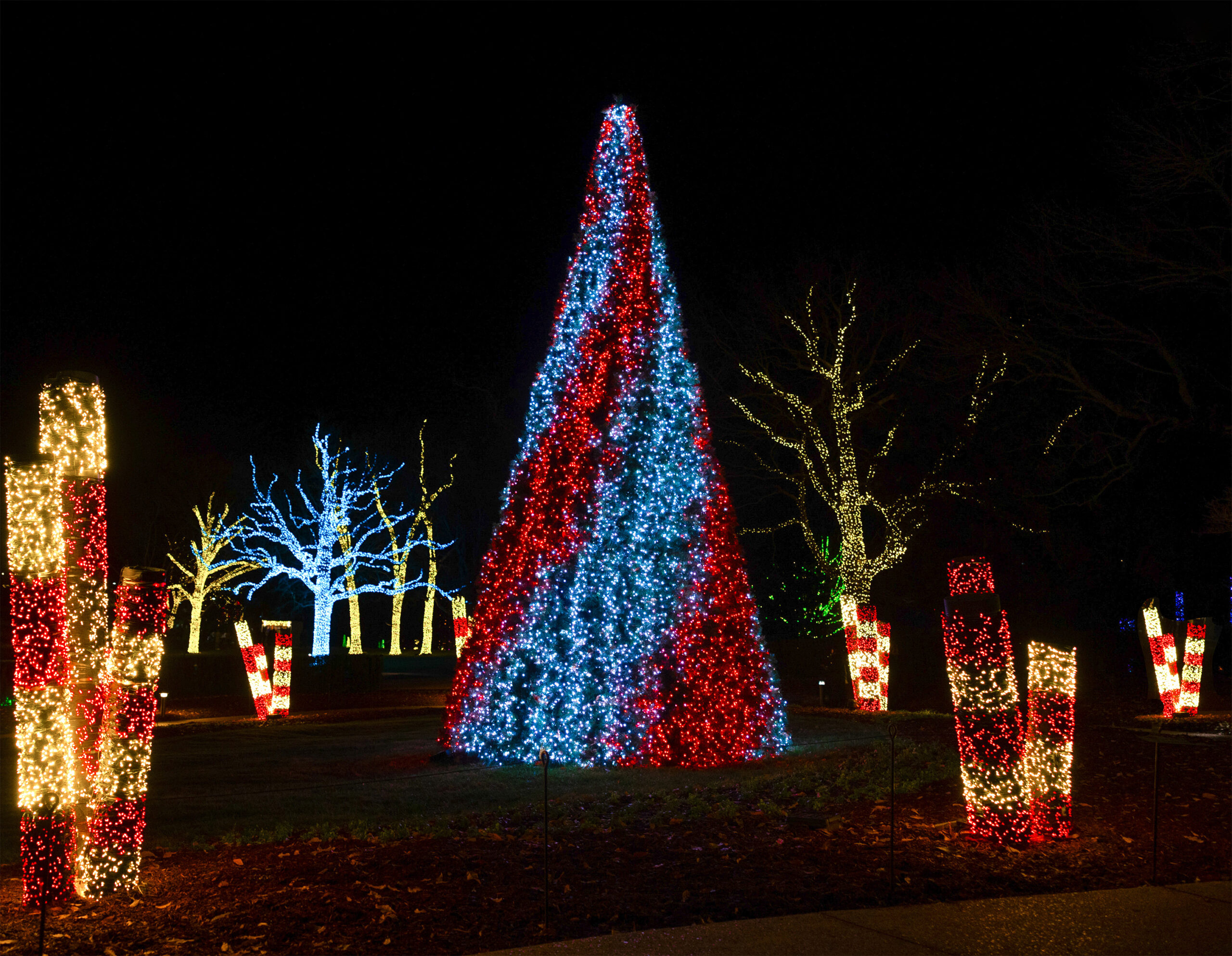 Edited_Cheekwood_HolidayLights_2024_Beauty-48