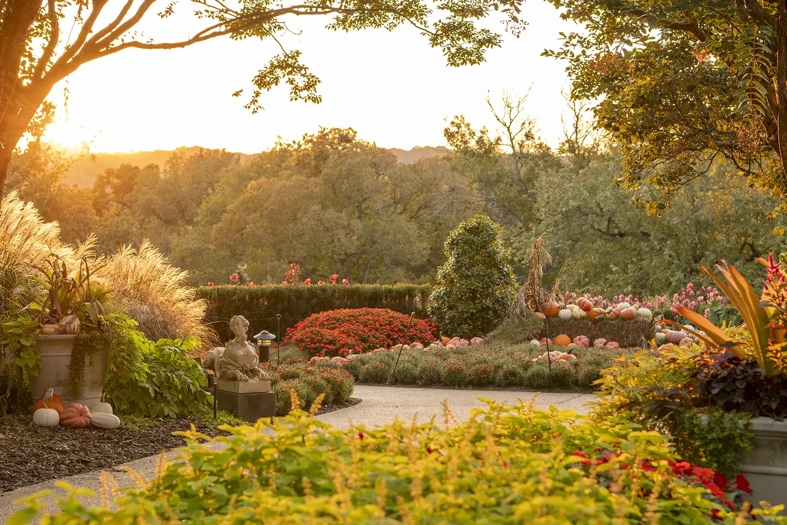 Fall_for_Cheekwood-web- (4)