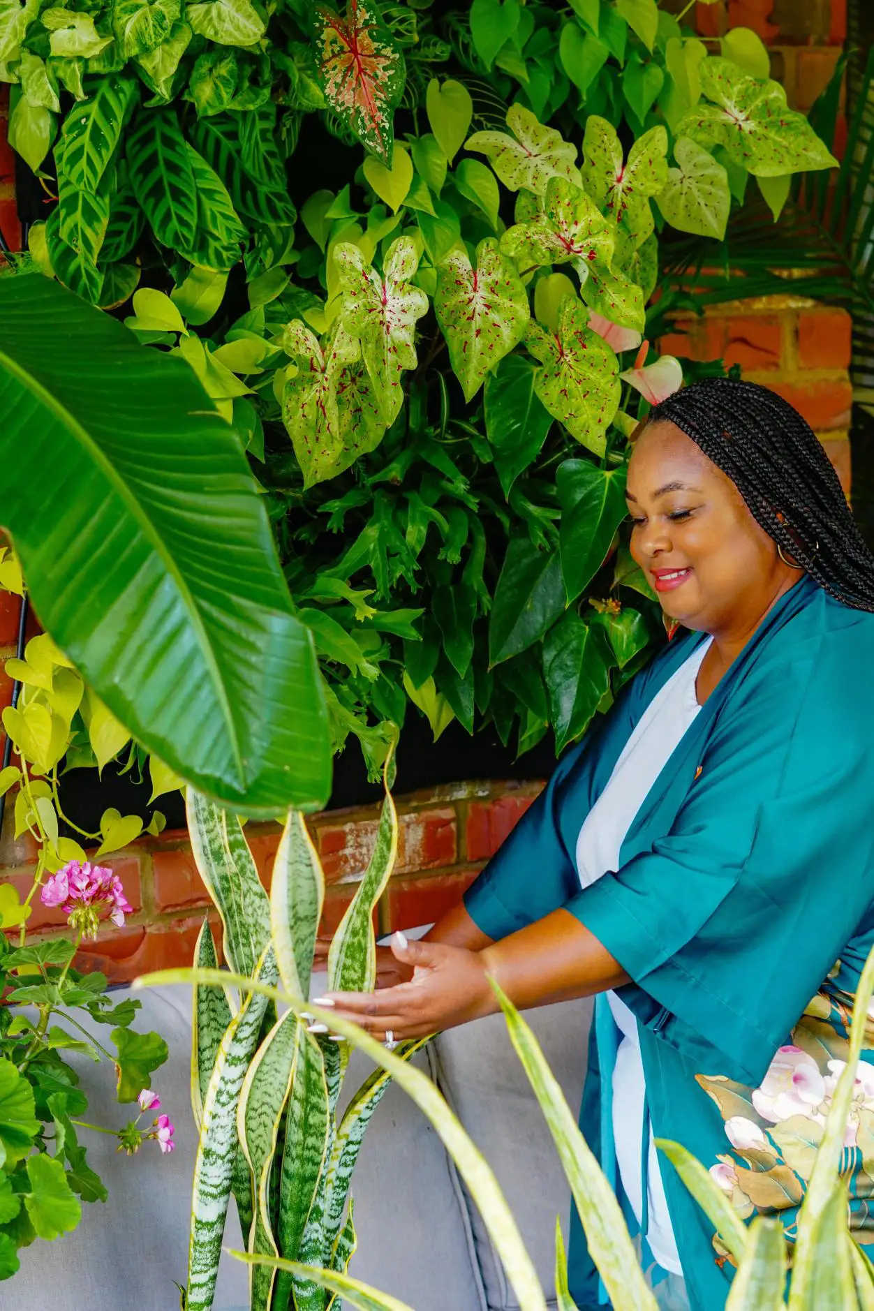 Happy Healthy Houseplants