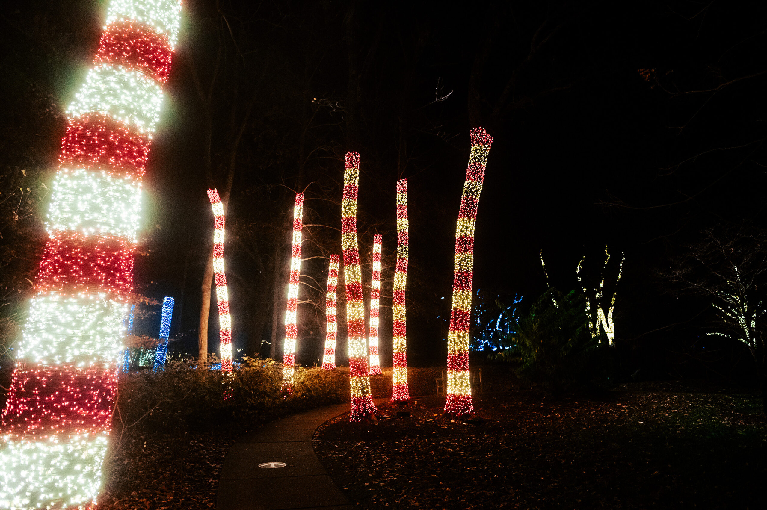 Holiday_Lights-Candy_Cane_Lane