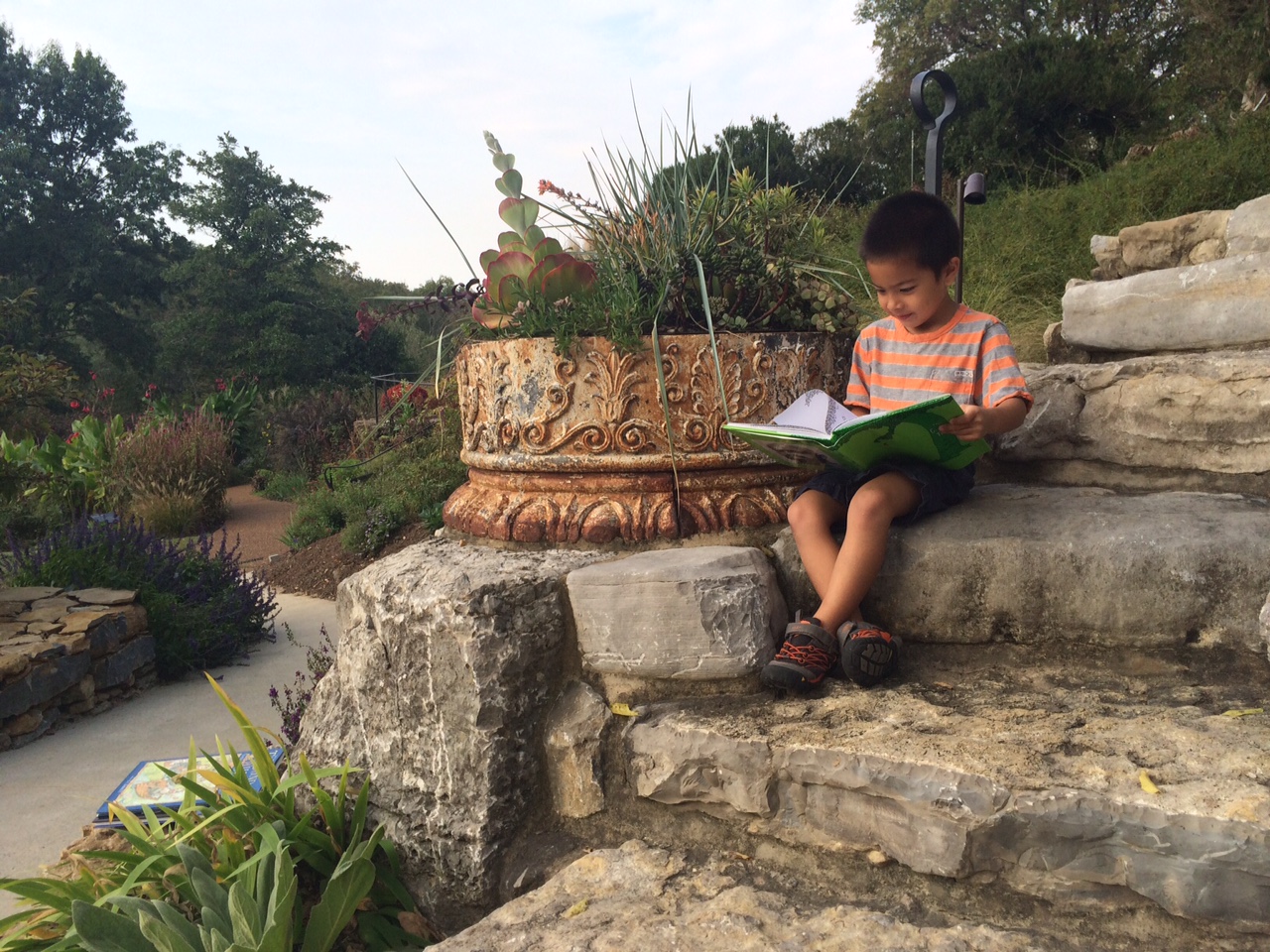 Little boy reading a book in the gardens