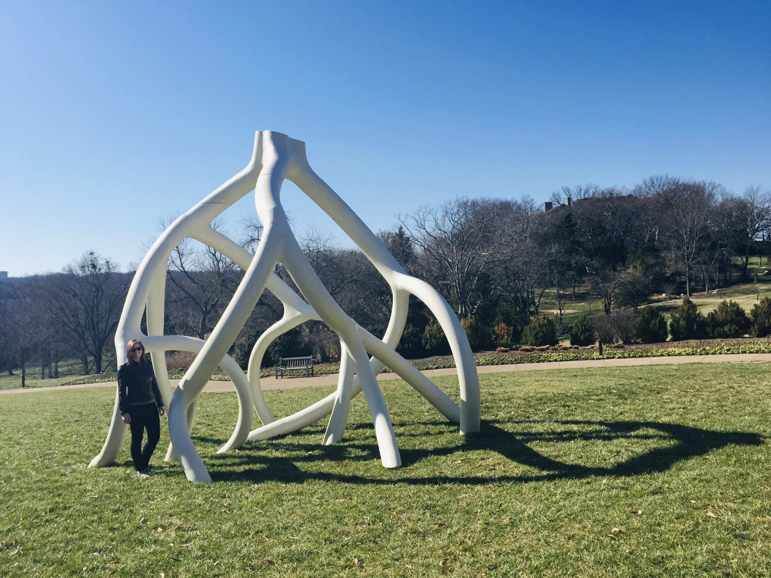 MBR Spotlight_C.Davidson_white sculpture-Color Garden