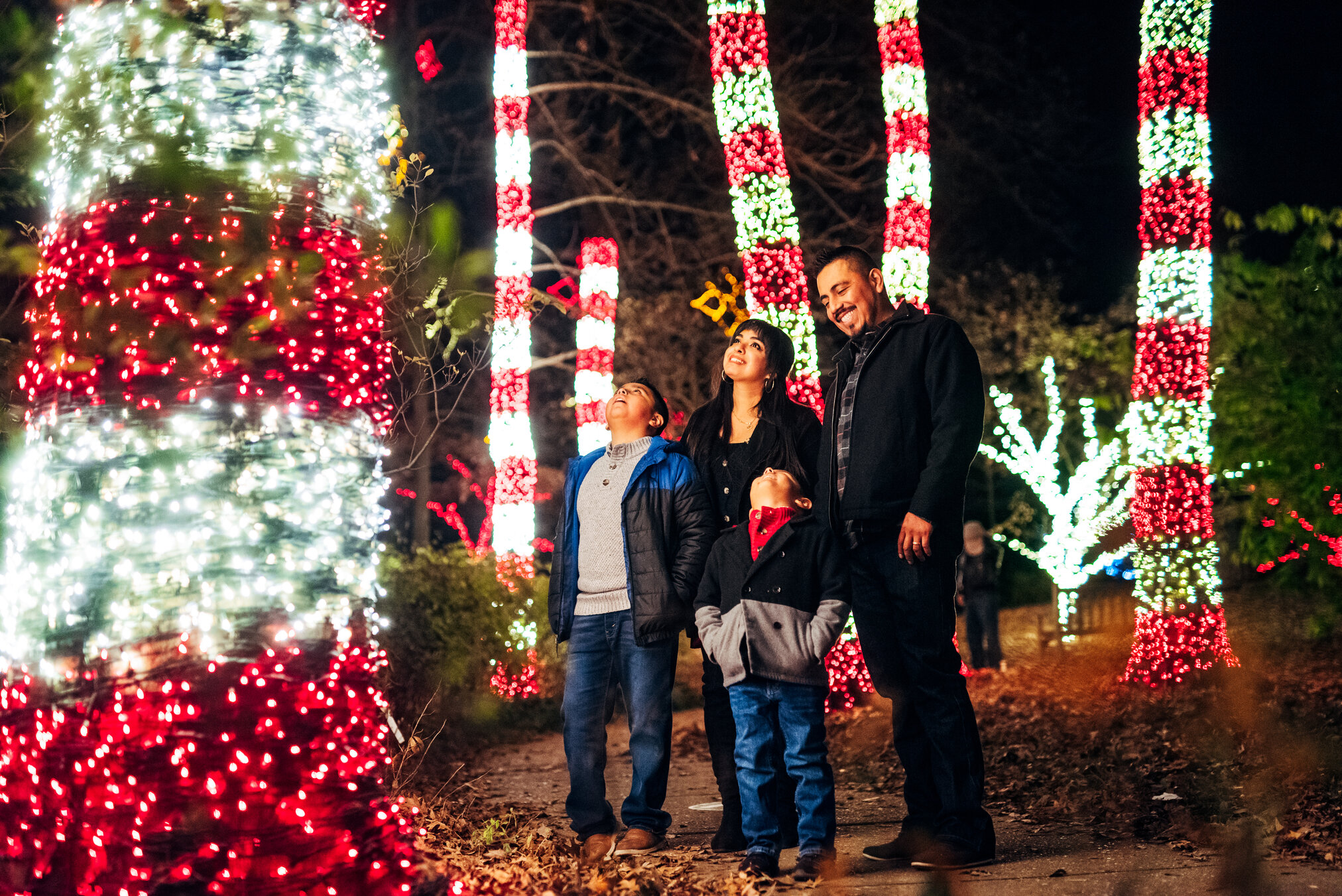 Holiday LIGHTS 2022. Photo by Nathan Zucker. Courtesy of Cheekwood Estate & Gardens.