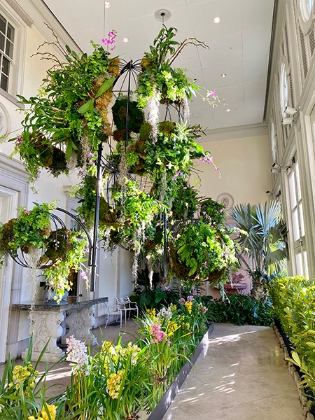 Orchids in the Mansion 2021