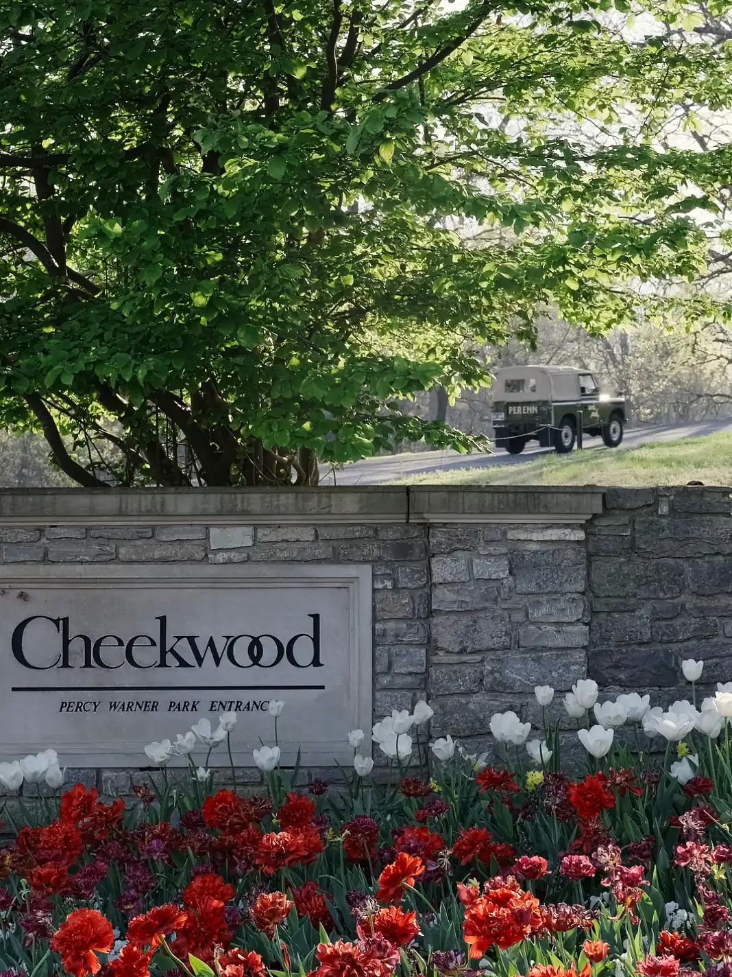 PERINN-ASSETS-01 (3)