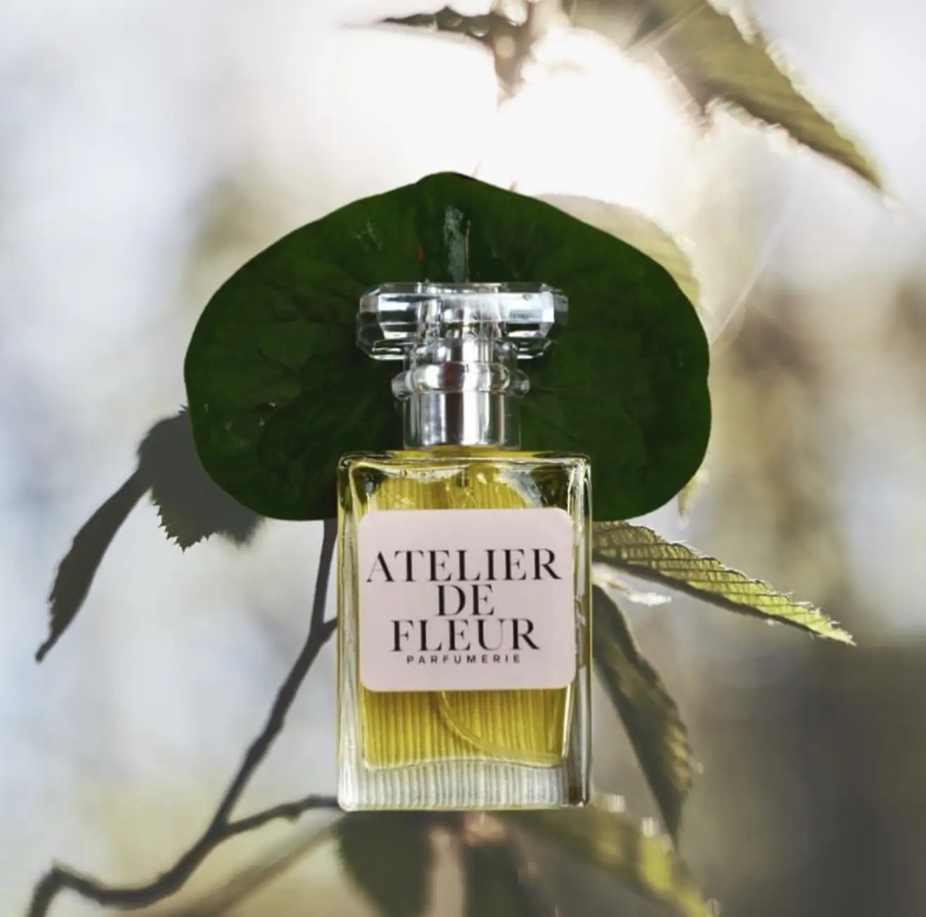 Perfume workshop image 1
