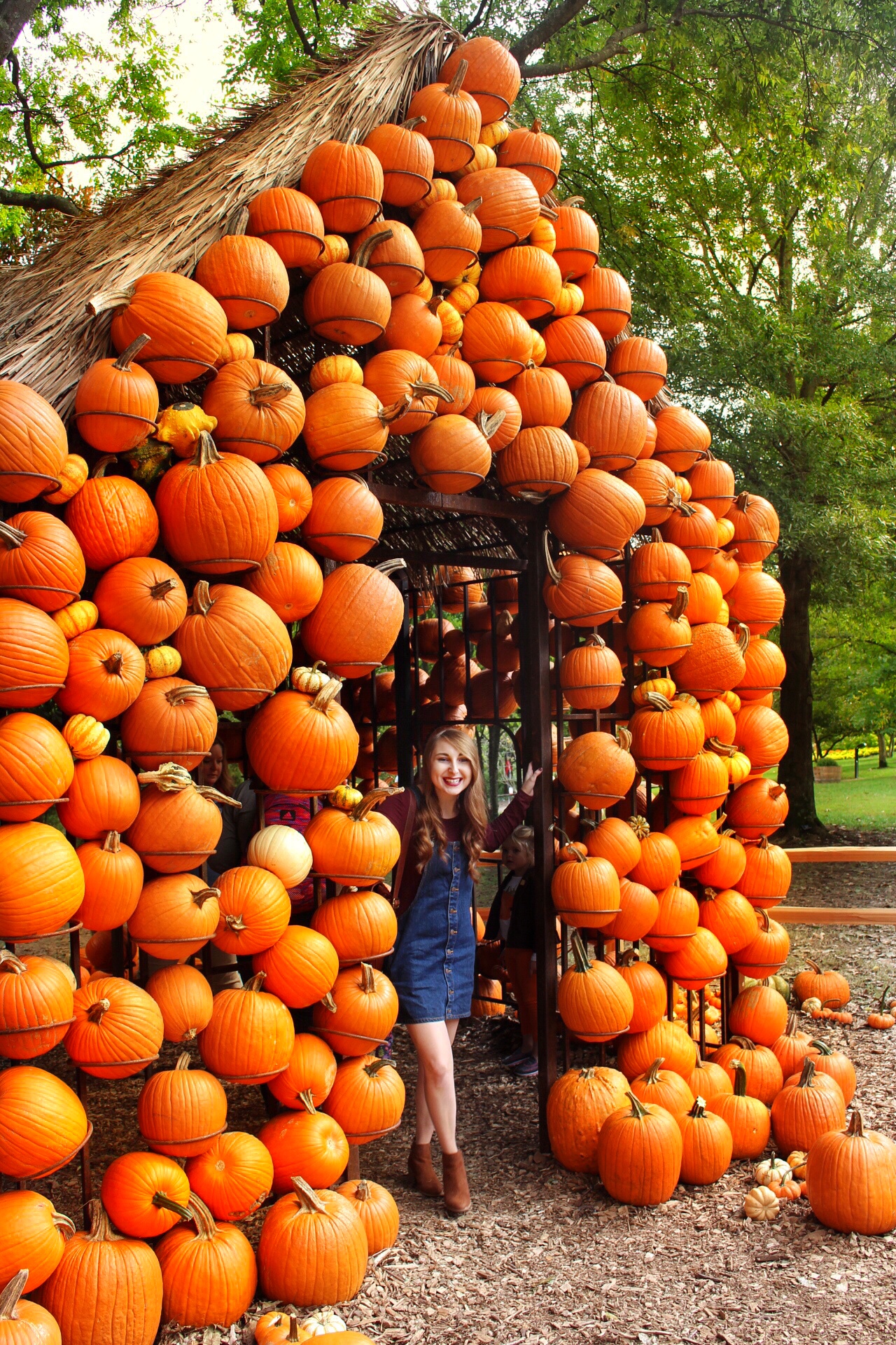 Pumpkin-House-Instagram-Blog