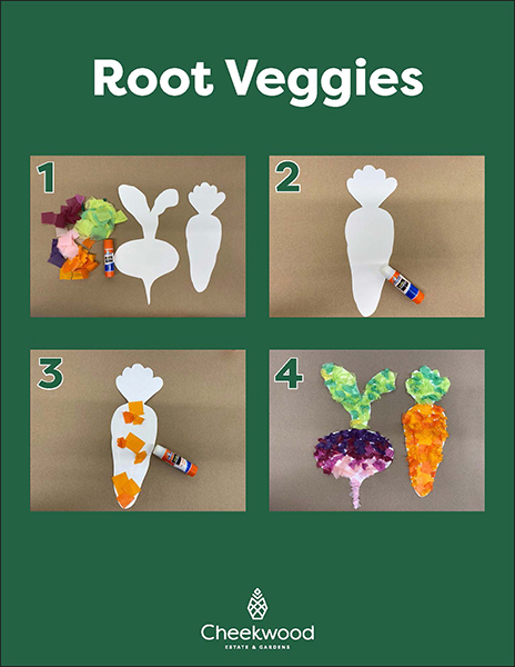 Root-Veggies