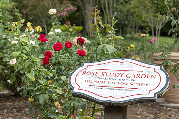 Rose Study Garden