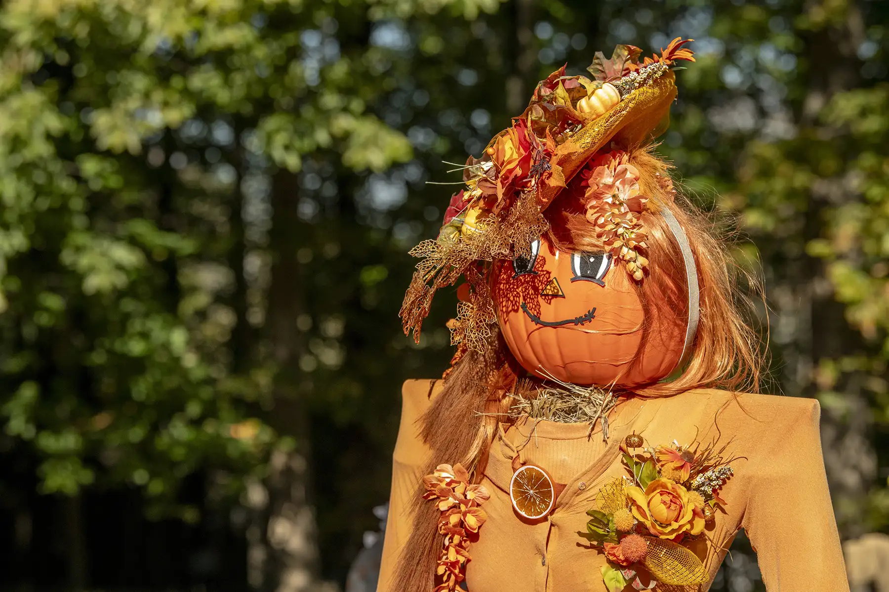 Scarecrow_Website Image