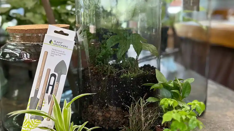 Spooky Terrariums with Moore & Moore Garden Center
