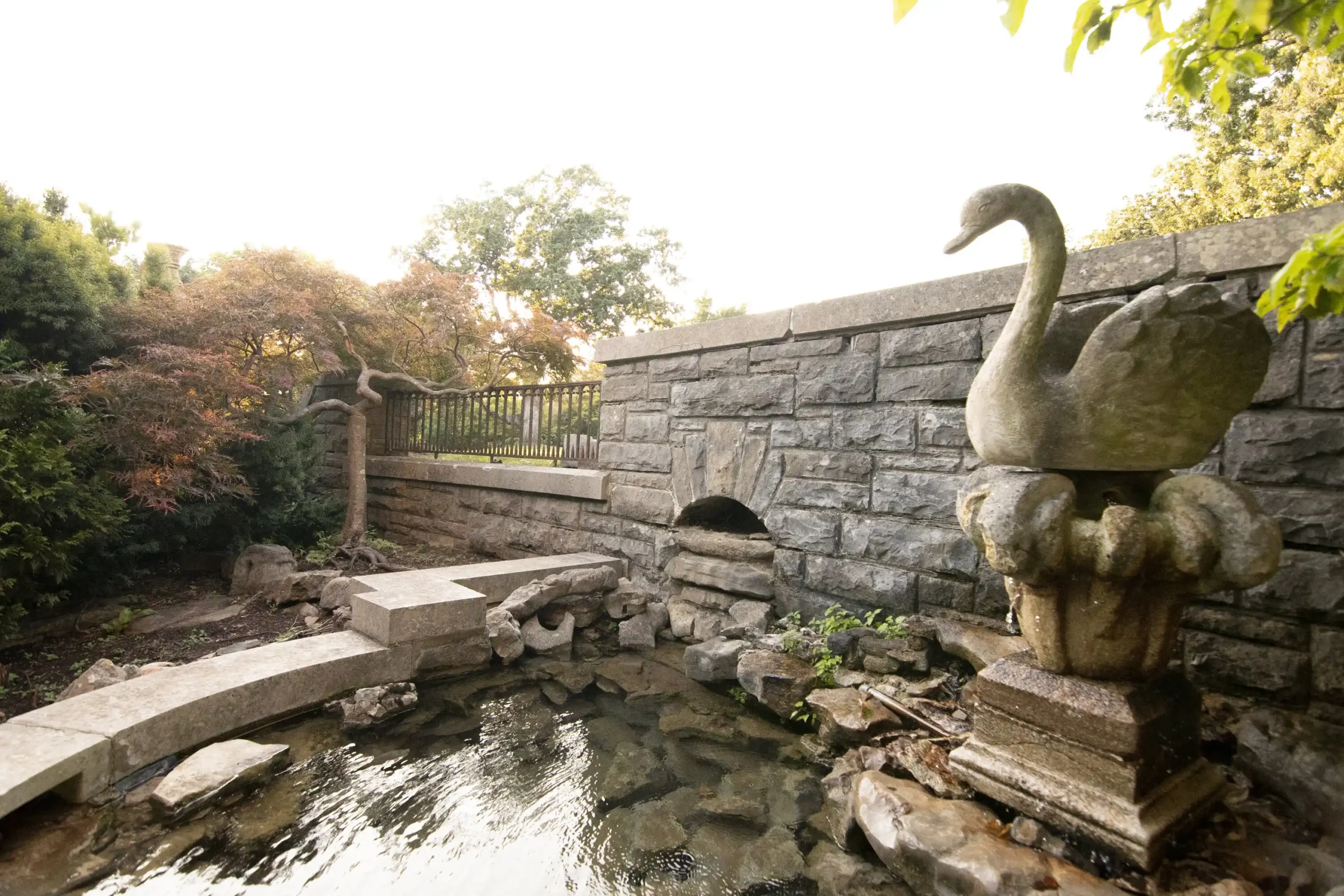 The_Cheekwood_Gardening_School- Cheekwood After Hours Water at Cheekwood