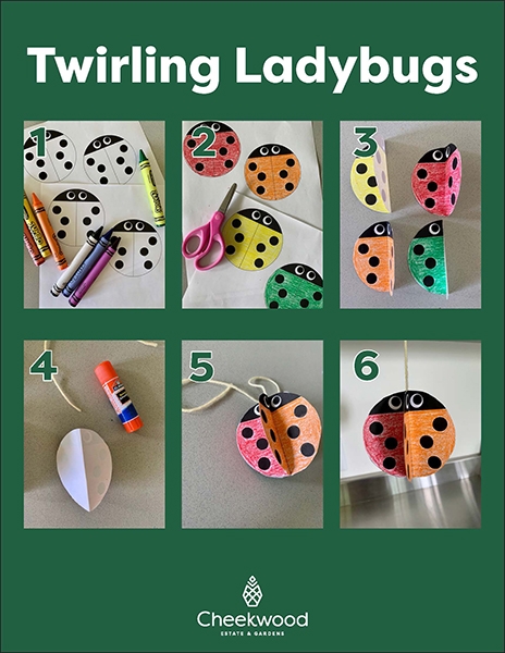 Twirling-Ladybugs