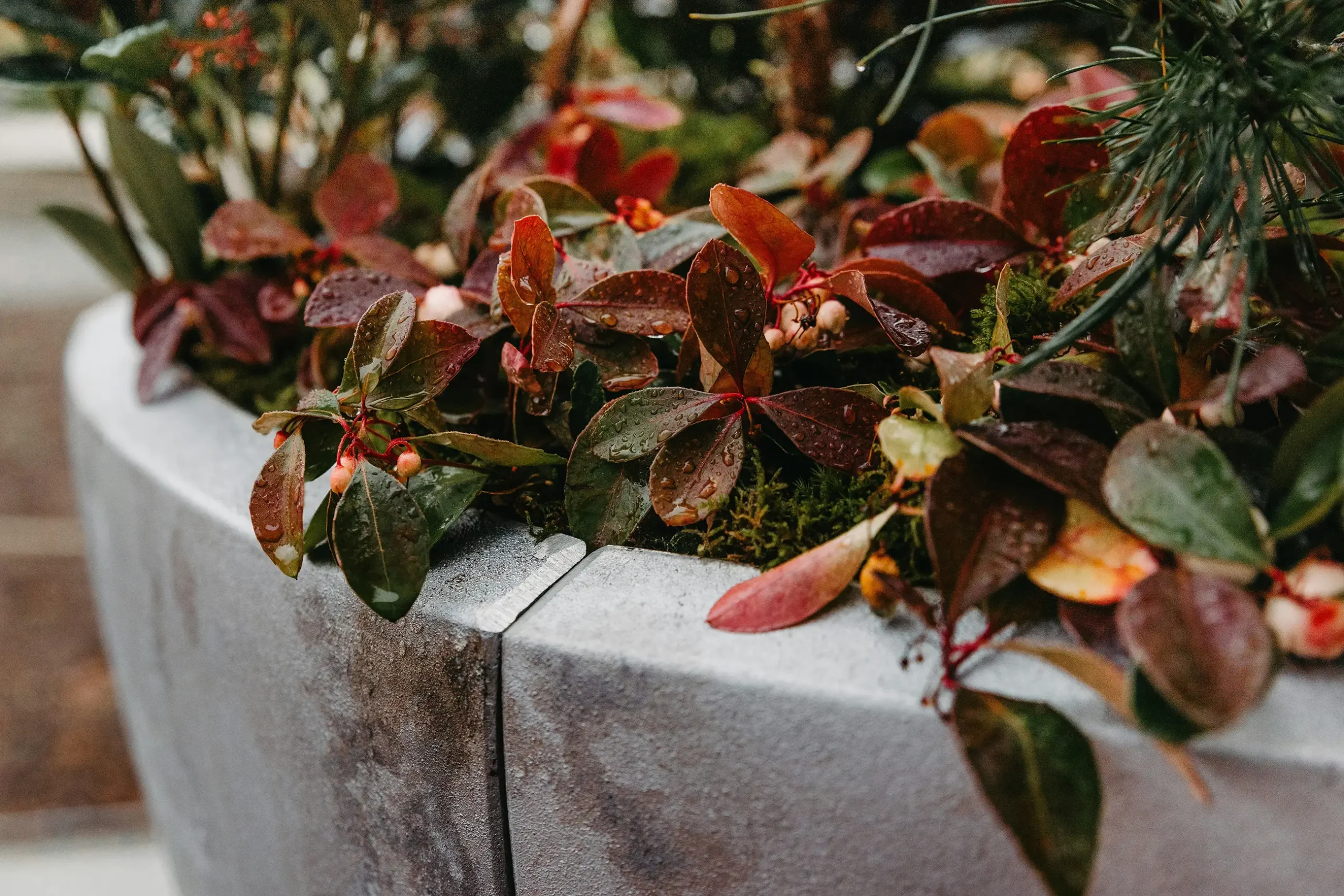 anita-austvika-_rsWBUFOtmw-unsplash