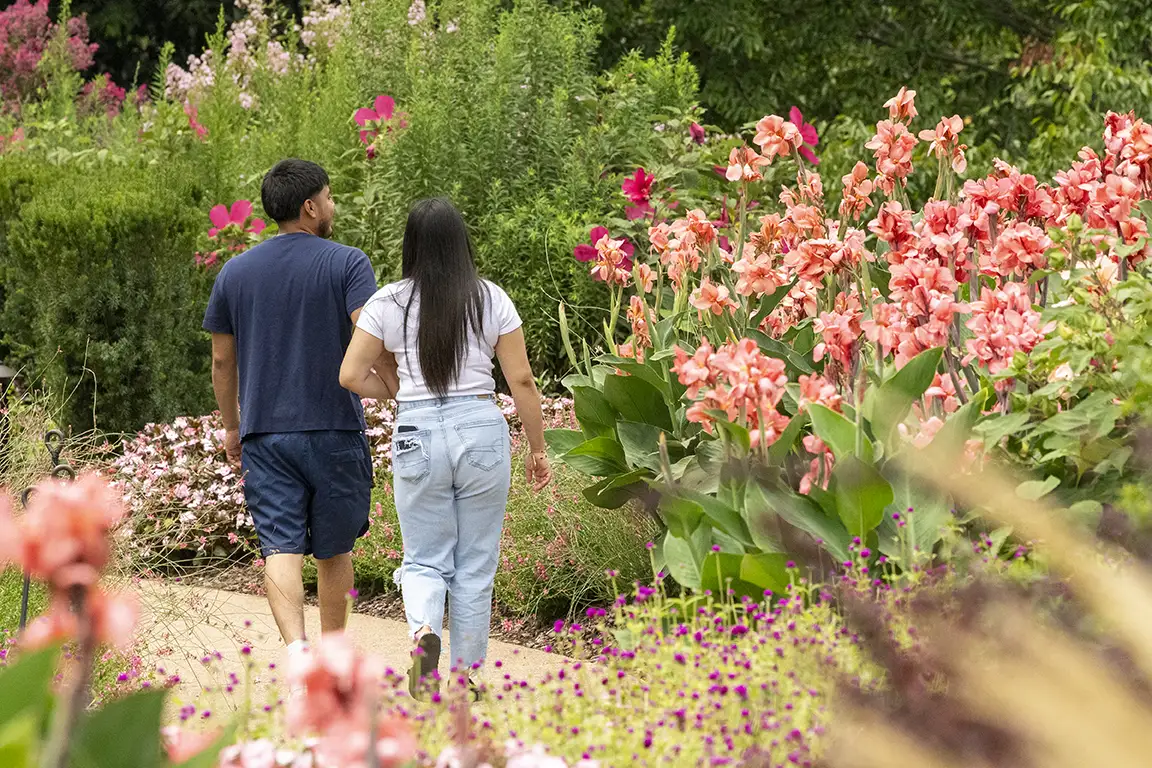 cheekwood_estate_and_garden-bogo (4)
