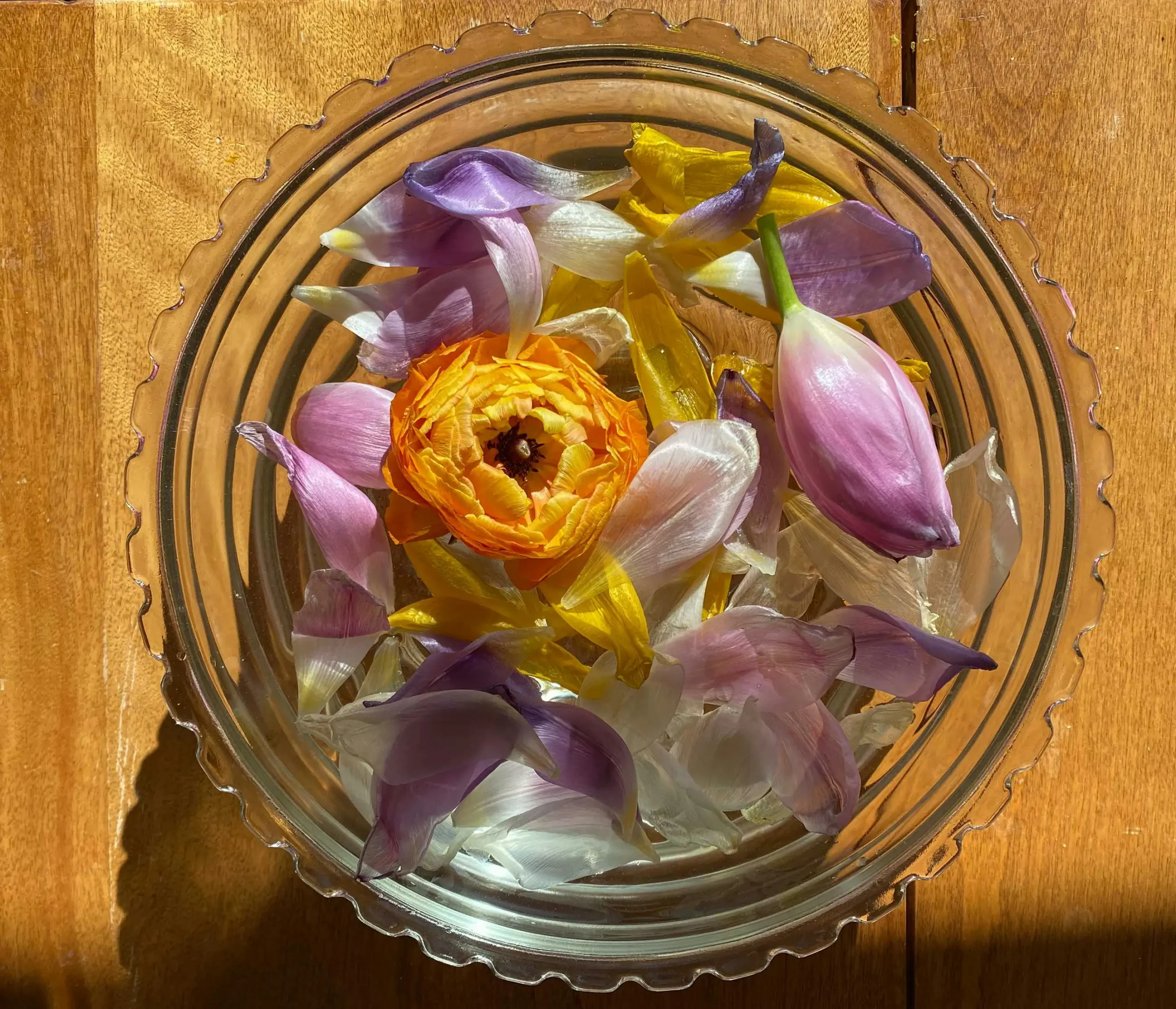 flower essence.pexels-jill-burrow-7677976