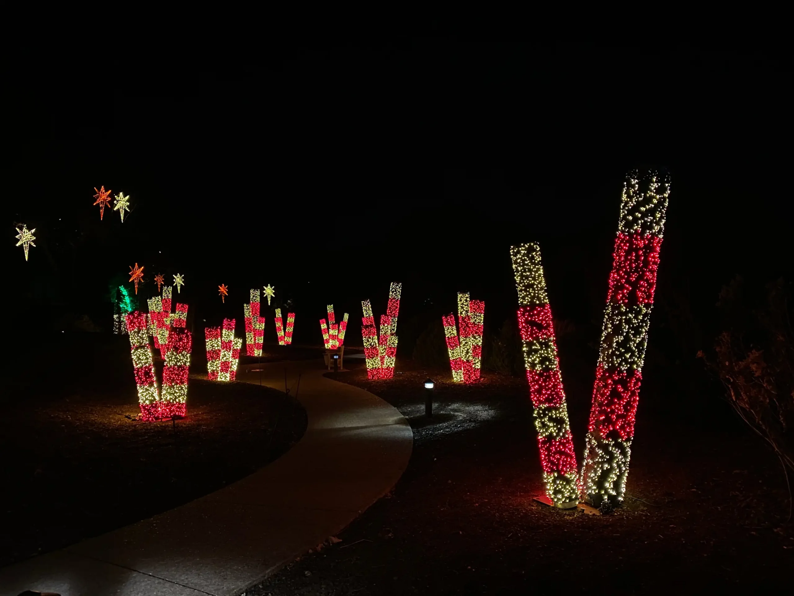 holiday_LIGHTS-2025-007