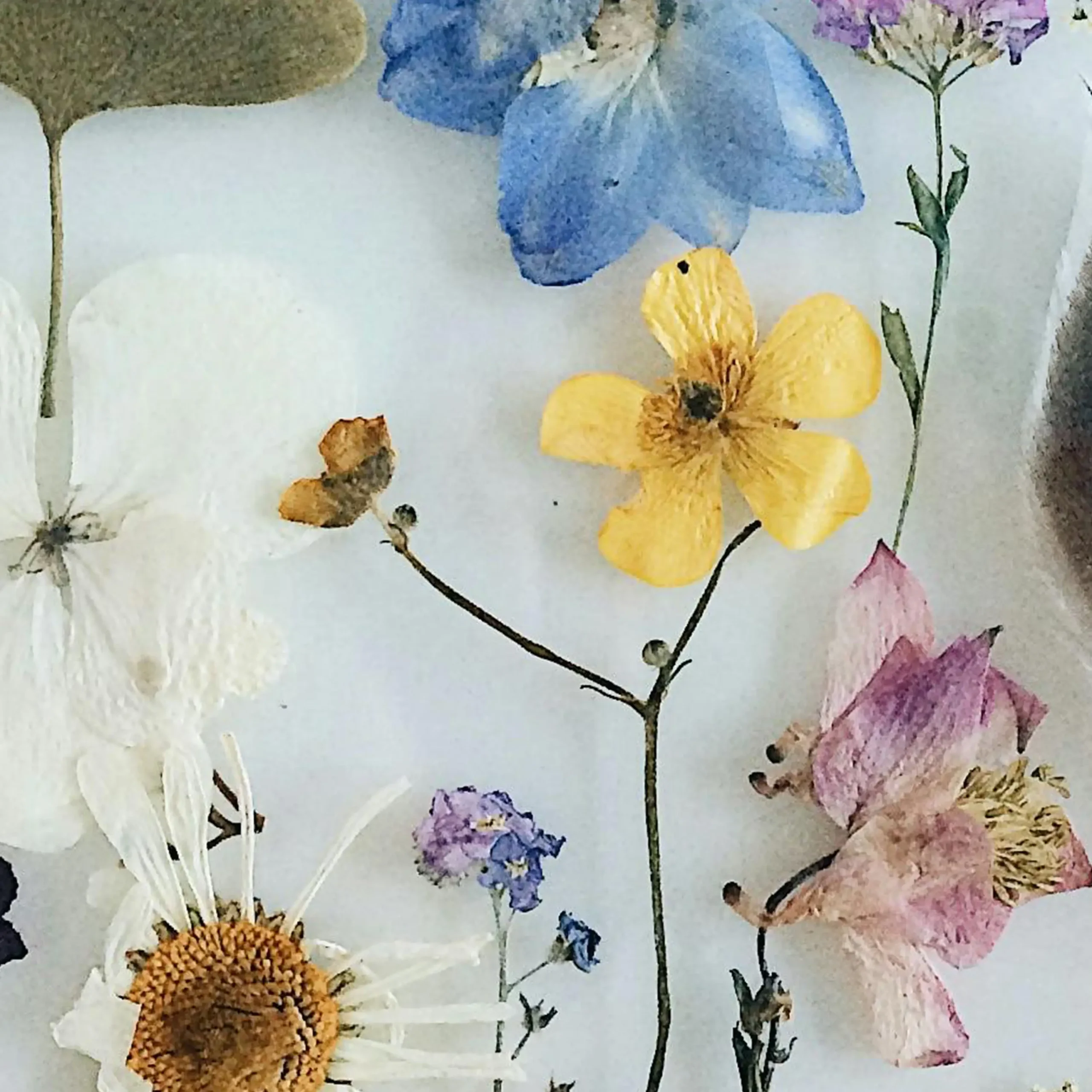 pressed-flower-mosaic