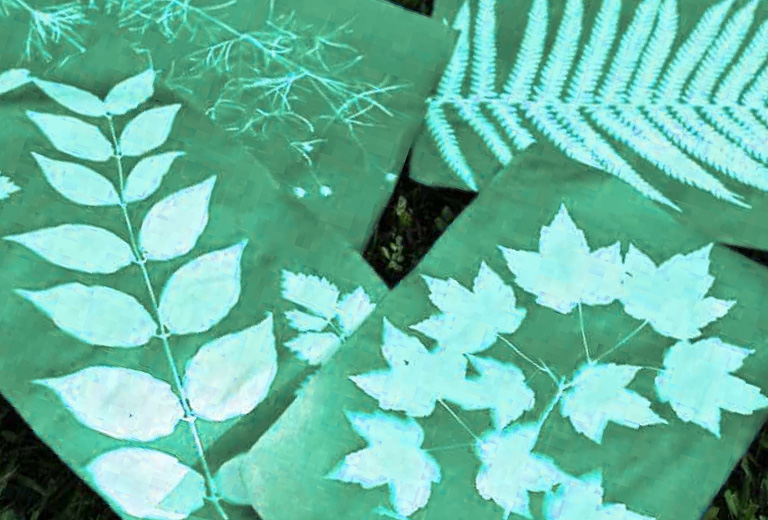 sun-print-paper-nature-art-with-kids-36