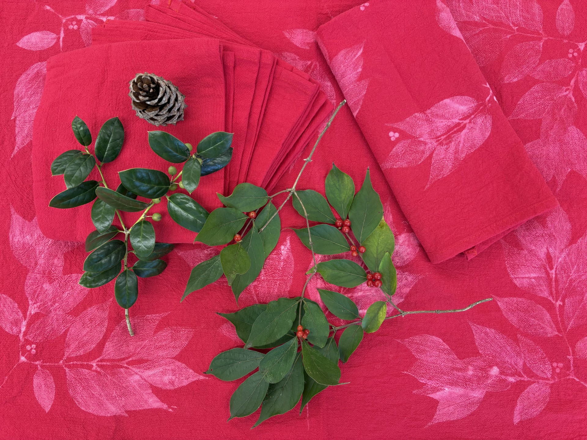 thumbnail_IMG_4789 (1)